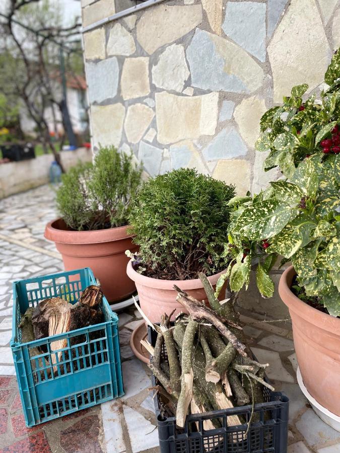 Kasaj Villa Gjirokastër Eksteriør bilde